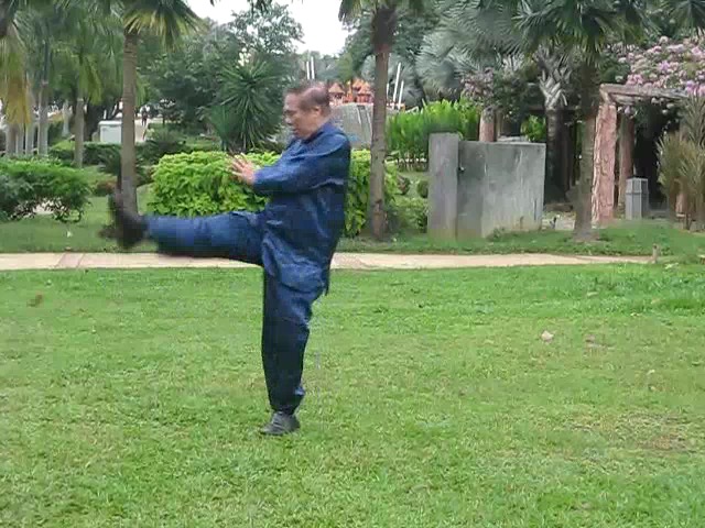 Shaolin 36 Leg Techniques